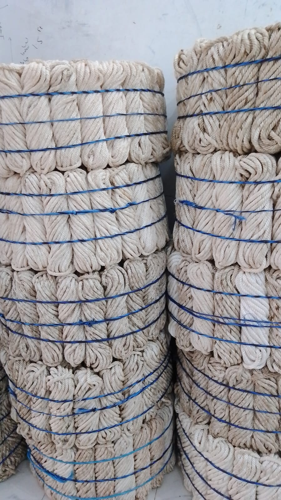 momi ropes (Bundels)